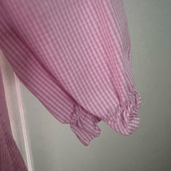 Toddler Pink Gingham Dress with Embroidered Turkey Accents - Picture 3 of 10